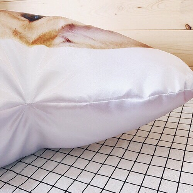 客製化造型抱枕